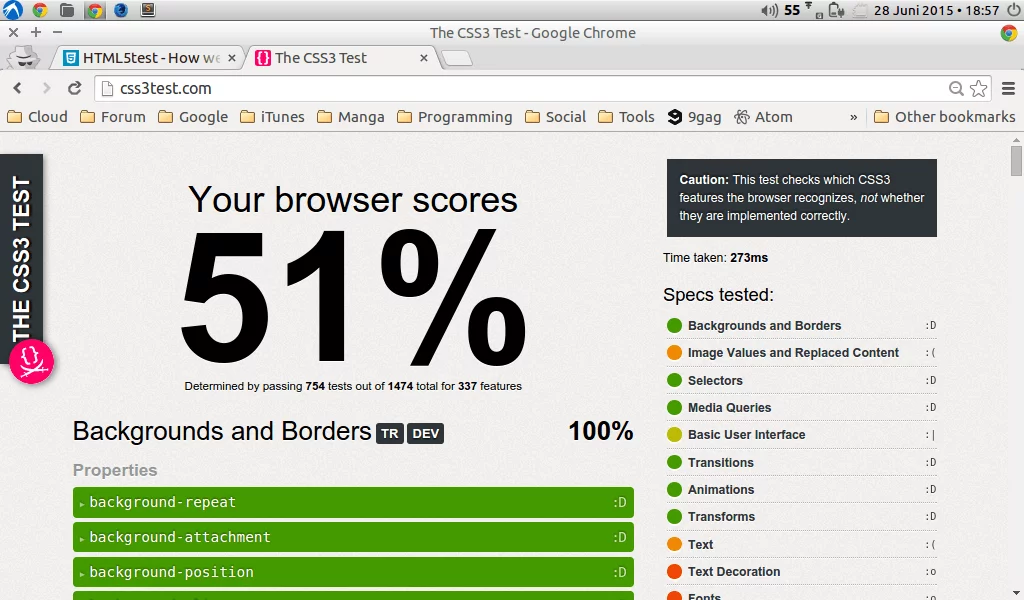 Chrome CSS3 Test Result